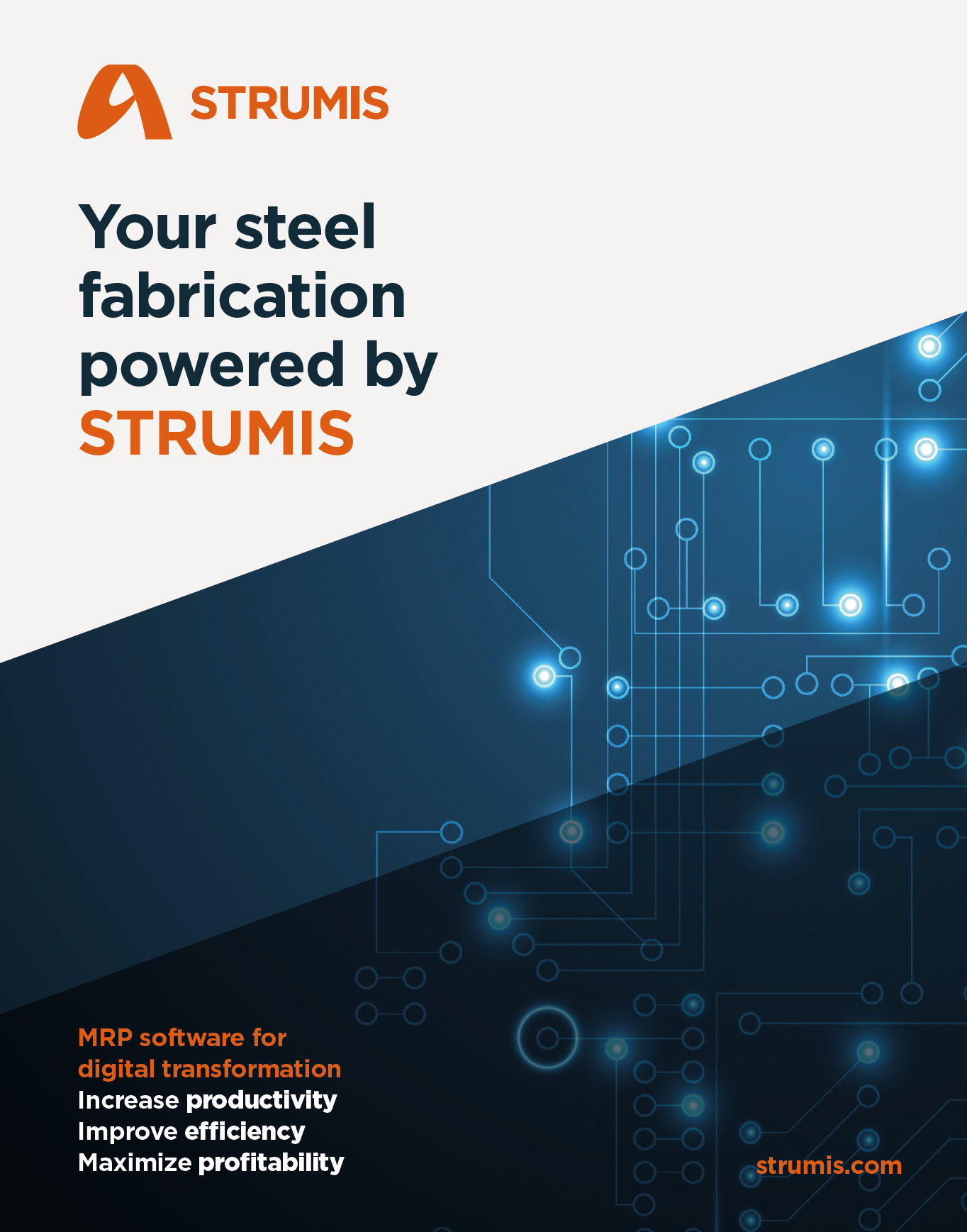 STRUMIS MRP Brochure 